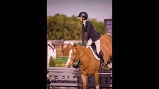 Bella Hadid riding🫶 #horse #equestrian #horses #horseriding #horsefan #horselover