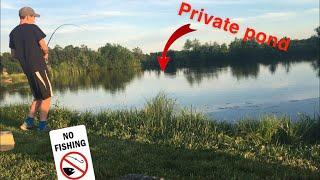 We Found a PRIVATE STOCKED Farm Pond!! (1v1 challenge)