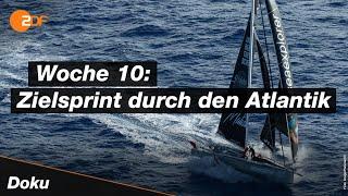 Vendée Globe: Schafft der Deutsche Boris Herrmann die Sensation? | SPORTreportage - ZDF