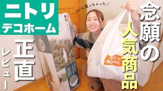 【ニトリデコホーム購入品】クリスマスツリーやオーナメント、キッチン用品や布団収納など！【30代主婦】