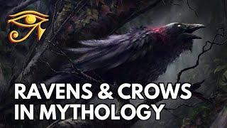 Ravens & Crows in Mythology & Folklore