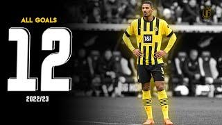 Sébastien Haller All 12 Goals For Dortmund | With Commentary - HD