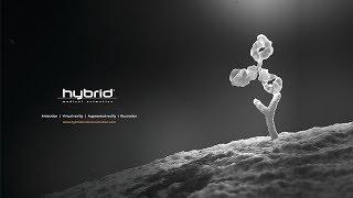 2018 hybrid medical animation demo reel