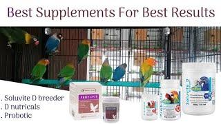 Breeding supplements | My experiences | Humid weather | Importance of birds care | Cream & juice.