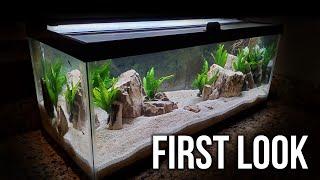 I Tried to Make a Brackish Tank Aquascape (will it work?)