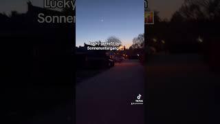 Sonnenuntergang mit Lucky  #shorts #viral #youtubeshorts #short #shortvideo #video #youtube