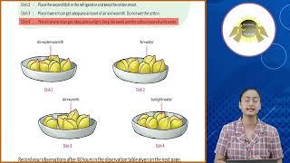 Ch_1 | Gabriel Book | Science | Class 5 | Growing plants | For children