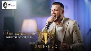 Djole Stevic & orkestar Ace Cergara - Srce od kamena (Cover 2023)