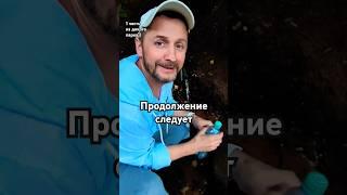 Как вам такой разговорный формат видео?)) Гулял тут на природе и решил записать) #shorts