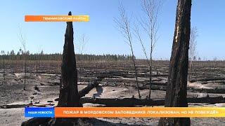 Репортаж из горящего заповедника в Мордовии