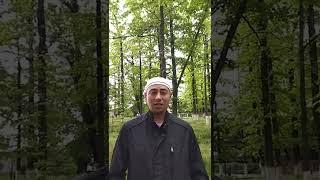 Жүрөктүн тынчтыгы