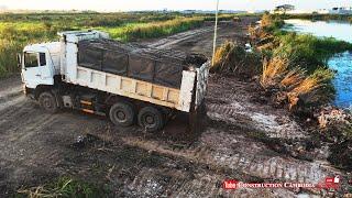 New projects largest sandfill into water by Super Dozer Shantui DH17C2, Dongfeng Dump Truck 10Wheels