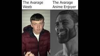 Average Weeb vs Anime Enjoyer