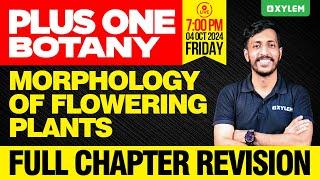 Plus One Botany | Morphology of Flowering Plants | Full Chapter Revision | Xylem Plus One