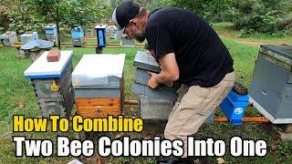 How To Combine Two Bee Colonies Into One