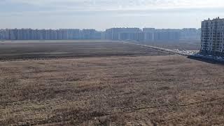 Самоизоляция. День 1 ️