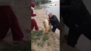 Наверное 10 кг есть #сазан #carpfishing #fishing #рыбалка #carp #балык #fish #baliqovi  