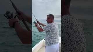 Скорпена. Рыбалка в Сочи. #fishing #fish #рыба #fishingvideo