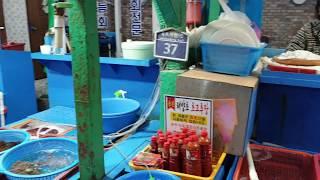 포항 맛집 죽도시장의 물회~!