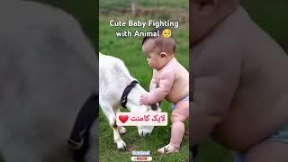 Cute Baby Fighting With Animal 