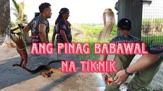 NA AKSIDENTE SI MASTER DAHIL SA MABALASIK NA COBRA #cobraprince #cobraking