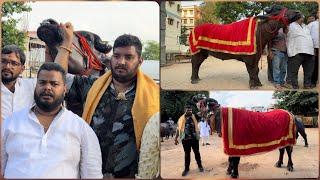 Khairatabad Sadar Festival 2022 | Madhu Yadav Garuda Bull Special Attention Of Sadar Festival 2022