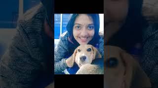 ias_srushti _deshmukh _life_memories_statu_video#shorts #creatingforindia #iasofficer #ias #upsc
