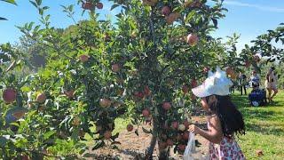 Apple Picking 2022 Farm Tour Montréal Canada