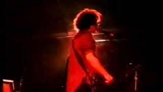 The Late Great Tim Hemensley - live at The Meredith Music Festival 1994