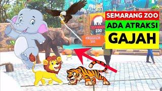  SEMARANG ZOO TERBARU‼️