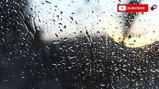 10 分钟白噪音 10minutes raining sound 大自然下雨声 安稳舒眠 【冥想中心】