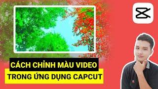 Cách Chỉnh Màu Video Trong Ứng Dụng CapCut