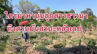 ใครมาหานุ่นลูกสาวชาวนาถึงสวนมันสำปะหลังเลย Noonfarmer Thailand