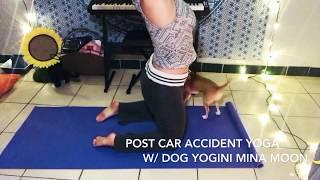 PTSD Yoga With Dog Yogini Mina Moon~ Covid Pandemic Preparedeness