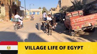 HOW PEOPLE LIVE IN THE OASIS IN EGYPT