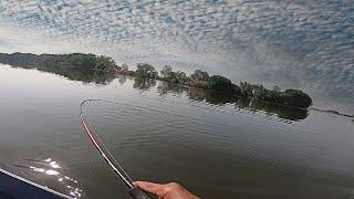 Sungai Besar yang penuh dengan ikan..!! Panen Ikan di sungai Pekalongan