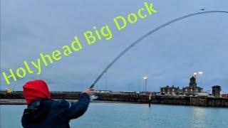 Big dock Hollywood  . uk sea fishing