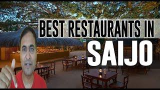 Best Restaurants and Places to Eat in Saijo, Japan