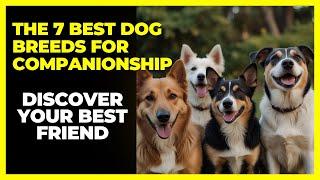 THE 7 BEST DOG BREEDS FOR COMPANIONSHIP