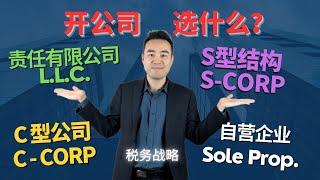 2024 美国开公司该选哪个？公司类型税务战略 | Sole Prop | LLC | C Corp | S Corp