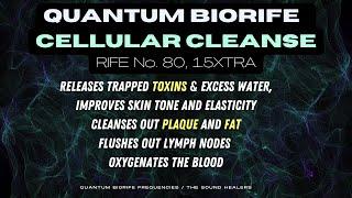 Low Grade Inflammation BIORIFE, Releases Fat, Toxins And Excess Water, Oxygenates The Blood