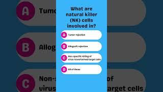 What are natural killer (NK) cells involved in?