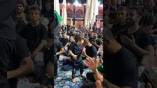 Imam Hussain Arbaeen at Iraq  #imamhussain #bainulharmain #imamali #arbaeen #shortsvideo #short