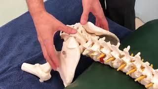 Sacroiliac Joint Assessment Protocol