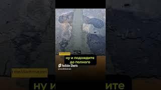 КЛАССНЫЙ ДОЖДЕПРИЕМНИК своими руками! #сад #diy #дача
