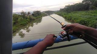 Mancing dari atas jembatan sungai grindulu