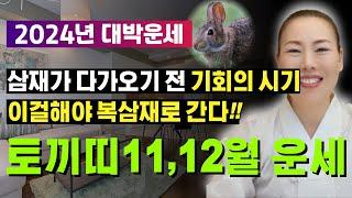 2024년 11~12월 토끼띠운세 삼재가 다가오기 전 기회의 시기 이걸해야 복삼재로 간다!! [양평용한점집 청화신당]