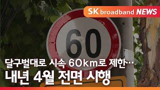 [대구] 달구벌대로 시속 60km로 제한…내년 4월 전면 시행