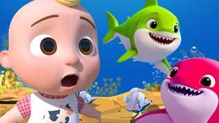 Baby Shark |Baby shark Song and dance |Nursery Rhymes & Kids song |Dance Party for Kids|