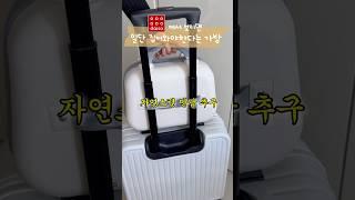 다이소에서 보이면 일단 잡고보세요